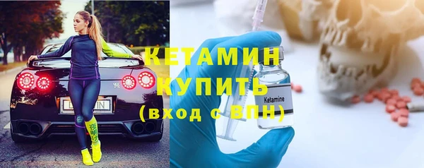 индика Козельск