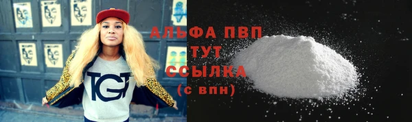 прущие грибы Киренск