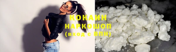 прущие грибы Киренск