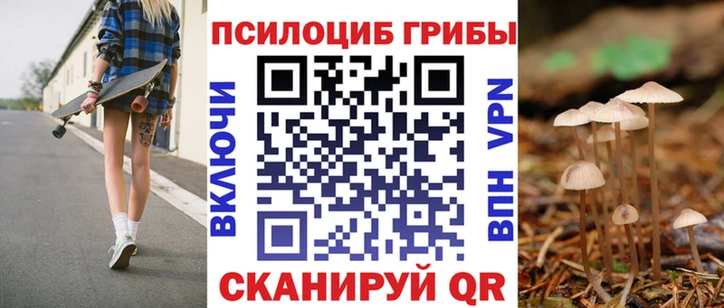Псилоцибиновые грибы Psilocybe Купить где Болотное